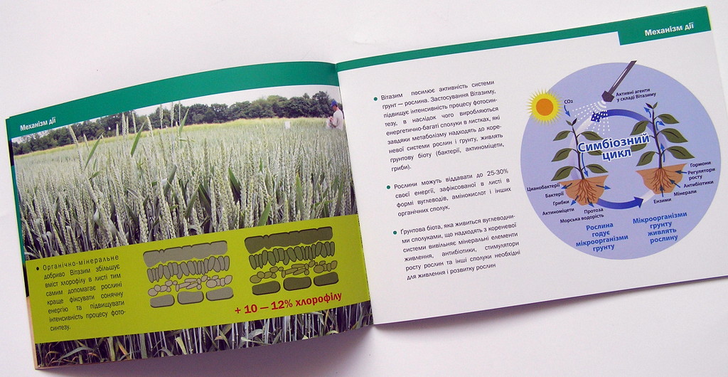 Изготовление брошюр «VitaZyme». Полиграфия типографии Макрос, изготовление брошюр, спецификация 962977-4