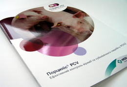 Печать брошюр брошюр «Порциліс PCV». Полиграфия типографии Макрос Макрос